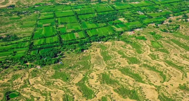 陕西榆林:在沙海里创造绿色奇迹(图2) 榆林实现了荒漠化的逆转