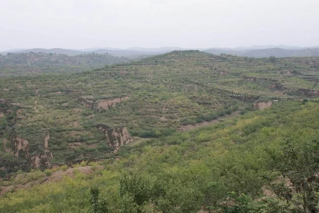 陕西榆阳:推进生态文明建设 打造“绿色榆阳”新名片(图4) 荒坡变绿洲