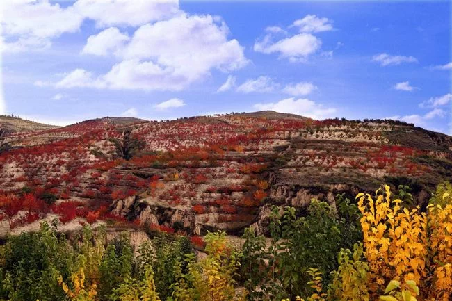 陕西榆阳:推进生态文明建设 打造“绿色榆阳”新名片(图3) 生态风景宜人