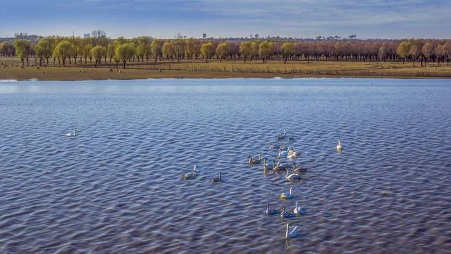 陕西榆阳:推进生态文明建设 打造“绿色榆阳”新名片(图1) 生态湖