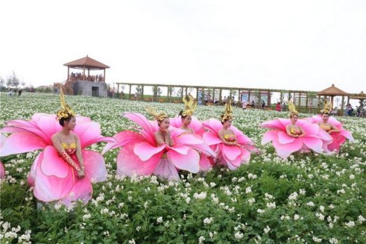 陕北榆阳：打造文化旅游精品 促进全域旅游发展