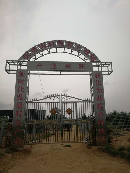 陕北榆阳麻黄梁镇:打实乡村振兴“厚底子” 拓宽脱贫致富“新路子”(图1) 产业振兴