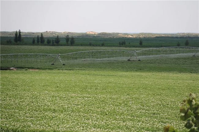 陕西榆阳:“三变”改革变出富民强村新天地(图3) 陕西榆阳:“三变”改革变出富民强村新天地