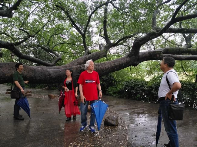 惠风和畅——全国名家画惠州山水作品展将于8月24日开幕(图3) 王学辉、张国兴、陈迪和、邱楚莲在惠州写生