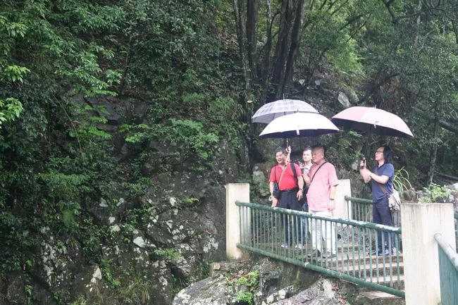 惠风和畅——全国名家画惠州山水作品展将于8月24日开幕(图4) 庄小尖、唐辉、陈良宗在惠州写生