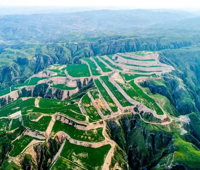 “农”墨重彩 大地生金——陕西榆林农业现代化水平全面提升(图1) 陕西榆林农业现代化水平全面提升