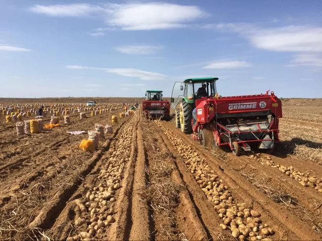 “农”墨重彩 大地生金——陕西榆林农业现代化水平全面提升(图3) 陕西榆林农业现代化水平全面提升