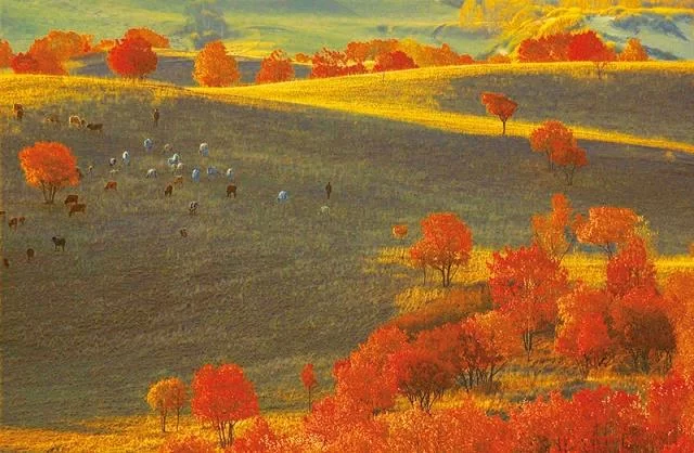 1548924610599140.jpg u=2948320326,224019193&fm=173&app=49&f=JPEG.jpg