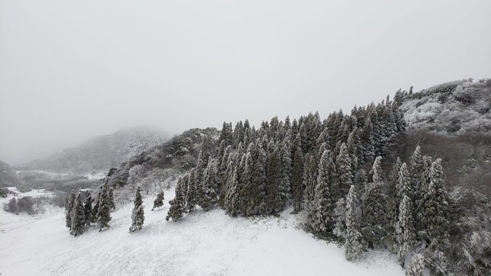 农历二月二“龙抬头”当天1300平方公里金佛山白雪覆盖