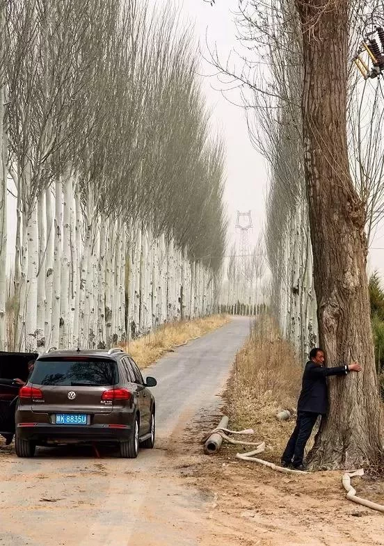 石光银:34年前一张榜,25万亩荒沙被扫光(图3) 石光银:34年前一张榜,25万亩荒沙被扫光(图3)