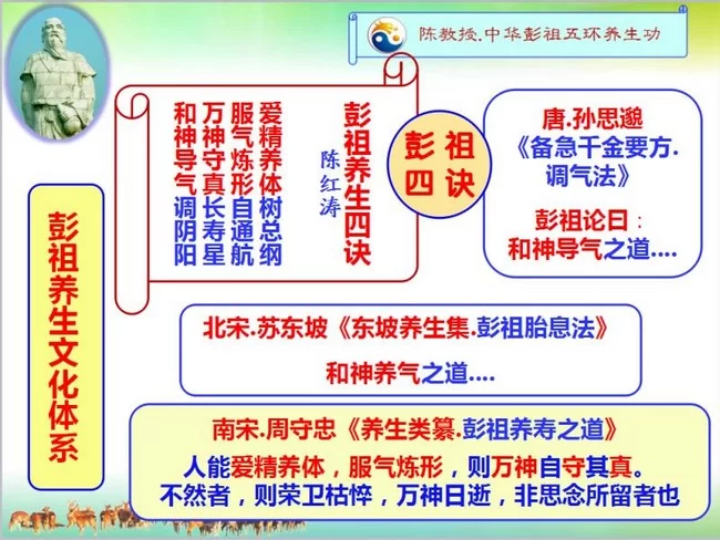 陈教授讲座PPT