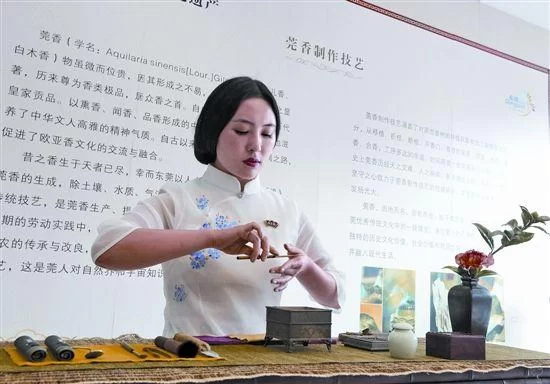 何等痴情,二十年栽下百万棵莞香树(图7) 何等痴情,二十年栽下百万棵莞香树(图7)