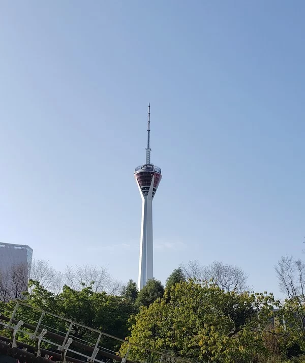 龙顺：在风雪中屹立(图4)