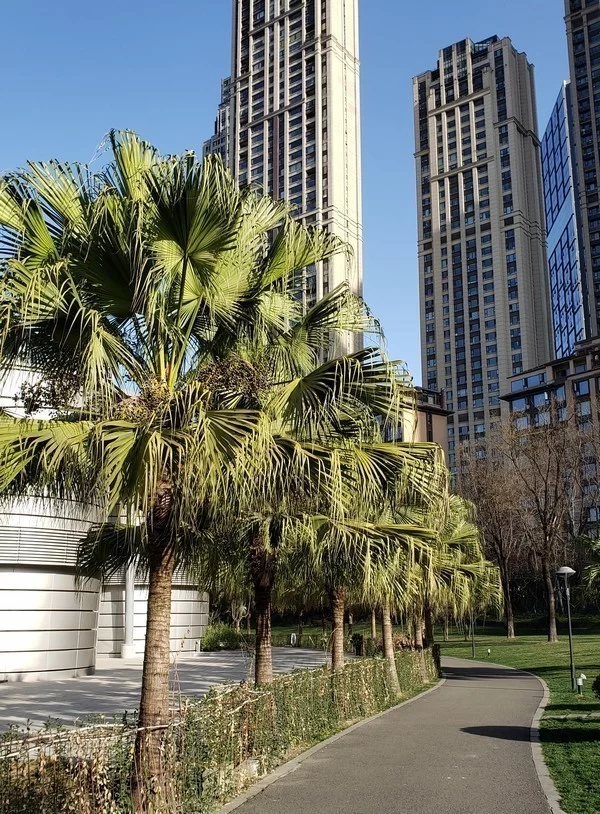 龙顺：在风雪中屹立(图3)