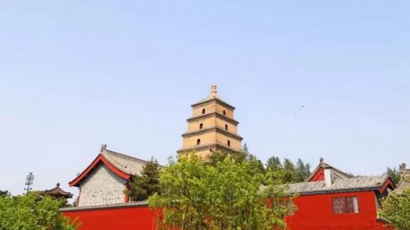 陕西秦汉新城大秦文明园：送上防疫指南，共迎春暖花开