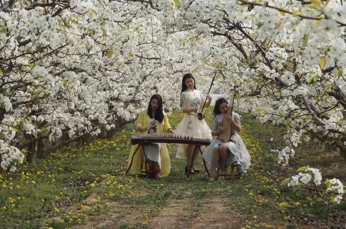 山西运城市2020“花开河东 乐游运城” 美丽乡村百花节启动(图3) 山西运城市2020“花开河东 乐游运城” 美丽乡村百花节启动(图3)