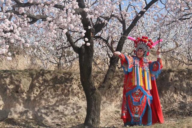 山西运城百花节：“美丽乡村”带来“美丽经济”(图3)