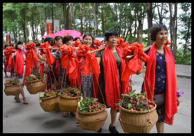 “红土荔香书岭南”东莞大岭山荔香文化展6月10日开幕(图12)