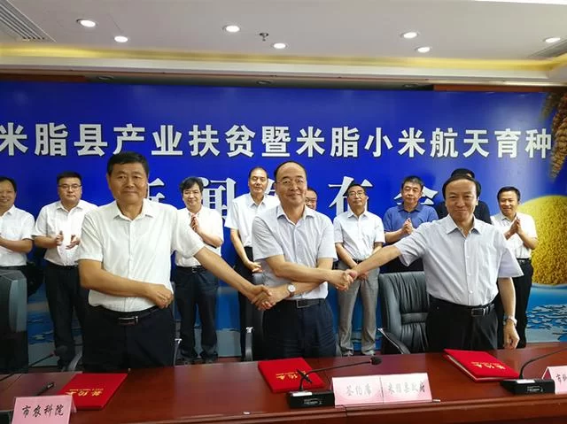 貂蝉故里米脂县：久负盛名的“米脂小米”乘上了航天育种“火箭专车”