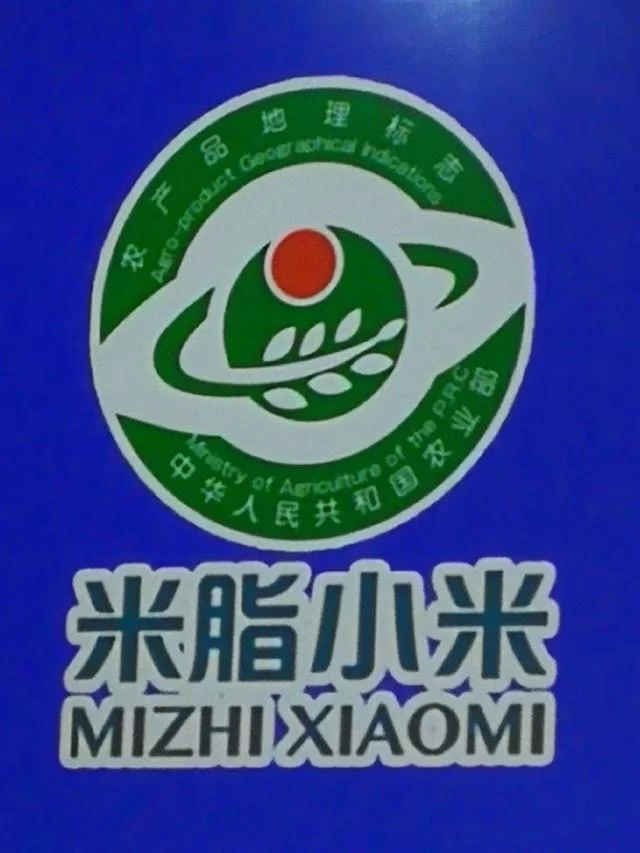 貂蝉故里米脂县：久负盛名的“米脂小米”乘上了航天育种“火箭专车”