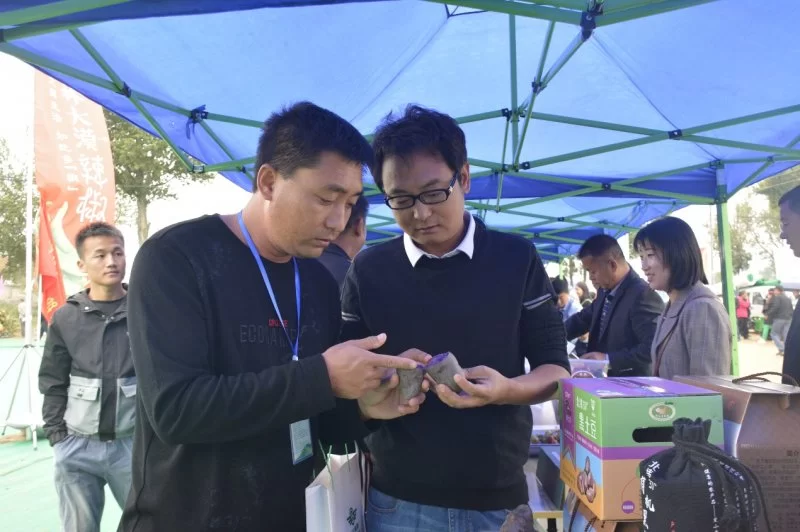 陕西省马铃薯全程机械化演示观摩现场会在靖边举行(图3) 陕西省马铃薯全程机械化演示观摩现场会在靖边举行(图3)