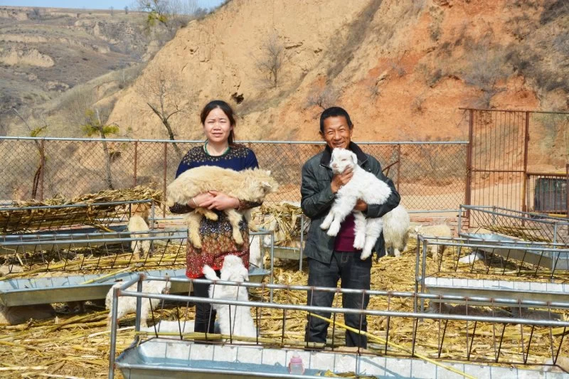 陕西神木:产业扶贫“挑大梁”,麟州遍开“富民花”(图2) 陕西神木:产业扶贫“挑大梁”,麟州遍开“富民花”(图2)