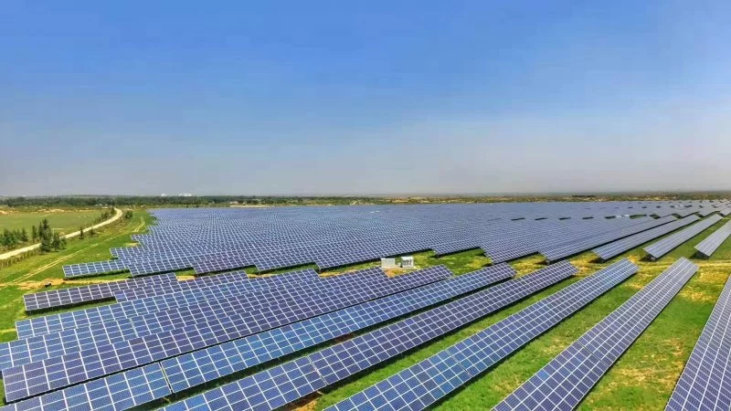 陕西神木:产业扶贫“挑大梁”,麟州遍开“富民花”(图4) 陕西神木:产业扶贫“挑大梁”,麟州遍开“富民花”(图4)