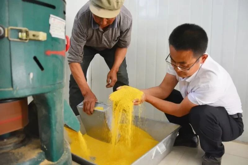 陕西神木:产业扶贫“挑大梁”,麟州遍开“富民花”(图3) 陕西神木:产业扶贫“挑大梁”,麟州遍开“富民花”(图3)