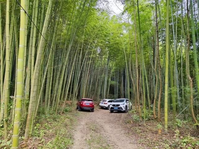 “金钟玉鼓”鸣西蜀！彭州老君山传承人王志强拟打造文旅新名片