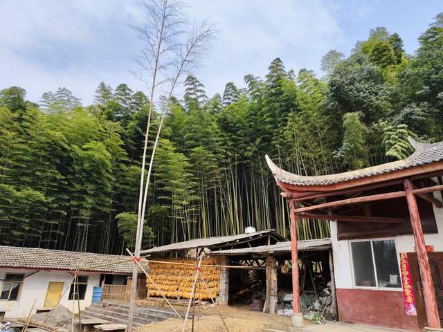 “金钟玉鼓”鸣西蜀，彭州老君山文化传承人王志强致力打造文旅目的地(图4)