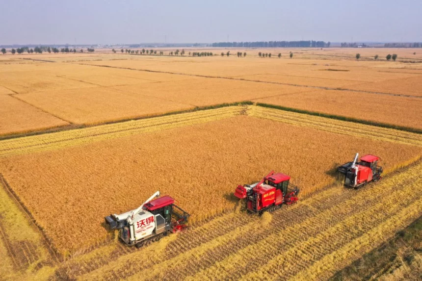 新的开创性进展、突破性变革、历史性成就——“中国经济圆桌会”聚焦我国“十四五”时期经济社会发展(图9)