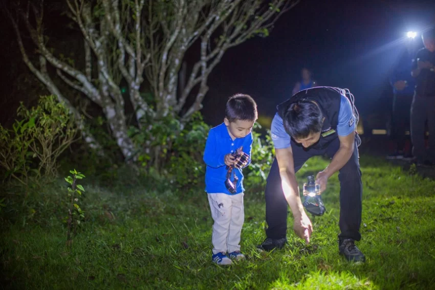 “聪明游”如何提供旅游新体验？(图2)